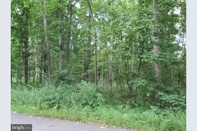 C Street, Mountain Lake Park, MD 21550 - Photo 4