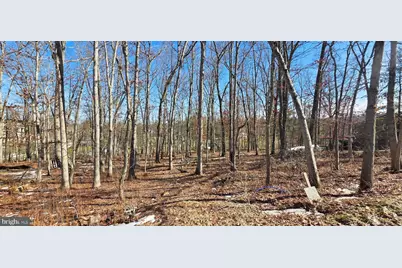 C Street, Mountain Lake Park, MD 21550 - Photo 8