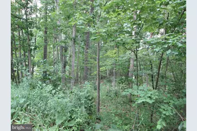 C Street, Mountain Lake Park, MD 21550 - Photo 2