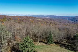 3836 Chestnut Grove Rd, Swanton, MD 21561 - Photo 46