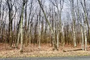 Tbd 15 75 Acres Bethlehem Rd, Oakland, MD 21550 - Photo 1