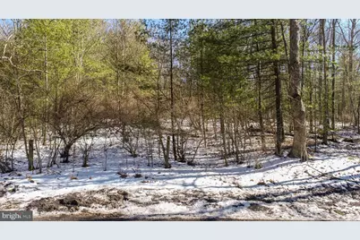 Green Glade Road, Swanton, MD 21561 - Photo 8