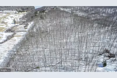 Lot 2 Pergin Farm Road, Oakland, MD 21550 - Photo 6