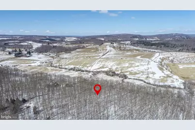 Lot 2 Pergin Farm Road, Oakland, MD 21550 - Photo 8