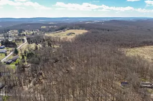 141 Montana Ln, Oakland, MD 21550 - Photo 34