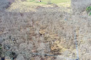 141 Montana Ln, Oakland, MD 21550 - Photo 42