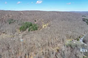 141 Montana Ln, Oakland, MD 21550 - Photo 44