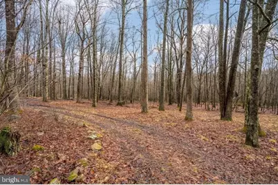 141 Montana Lane, Oakland, MD 21550 - Photo 54