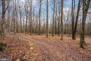 141 Montana Ln, Oakland, MD 21550 - Photo 54