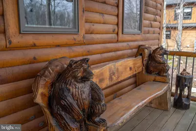 276 Sundance Way, Mc Henry, MD 21541 - Photo 64