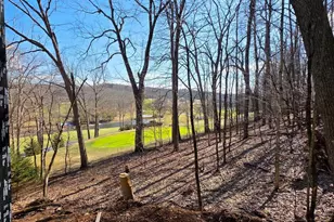 654 N Bradley Ln, Oakland, MD 21550 - Photo 32
