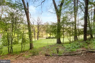 654 N Bradley Ln, Oakland, MD 21550 - Photo 40