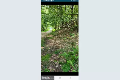 Mallard Lake Trl, Swanton, MD 21561 - Photo 4