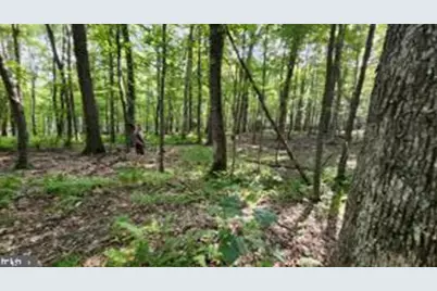 Mallard Lake Trl, Swanton, MD 21561 - Photo 8