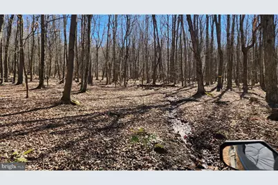 584 Old Wilson Road, Swanton, MD 21561 - Photo 6