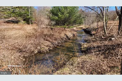 584 Old Wilson Road, Swanton, MD 21561 - Photo 4