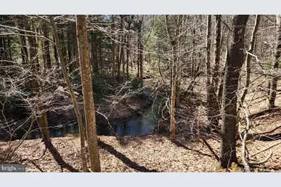 584 Old Wilson Road, Swanton, MD 21561 - Photo 2