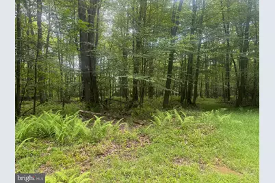 Lot 18 Buck Drive, Oakland, MD 21550 - Photo 4