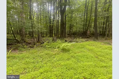 Lot 18 Buck Drive, Oakland, MD 21550 - Photo 6