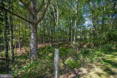 3348 & 3360 Cove Road, Accident, MD 21520 - Photo 20