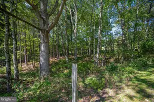 3348 & 3360 Cove Rd, Accident, MD 21520 - Photo 20