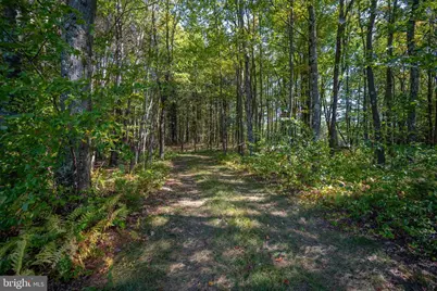 3348 & 3360 Cove Road, Accident, MD 21520 - Photo 16