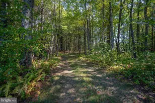 3348 & 3360 Cove Rd, Accident, MD 21520 - Photo 16