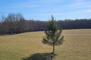 355 Lonesome Pine Rd, Oakland, MD 21550 - Photo 64