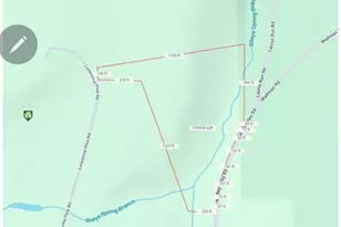 355 Lonesome Pine Rd, Oakland, MD 21550 - Photo 70