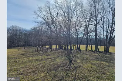 355 Lonesome Pine Road, Oakland, MD 21550 - Photo 46