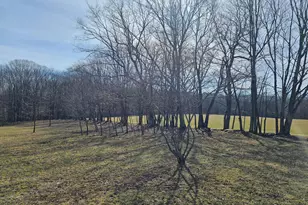 355 Lonesome Pine Rd, Oakland, MD 21550 - Photo 46