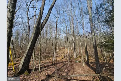 355 Lonesome Pine Road, Oakland, MD 21550 - Photo 50