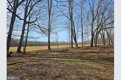 355 Lonesome Pine Road, Oakland, MD 21550 - Photo 44