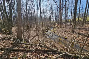 355 Lonesome Pine Rd, Oakland, MD 21550 - Photo 40