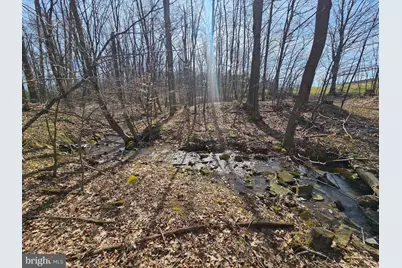 355 Lonesome Pine Road, Oakland, MD 21550 - Photo 42