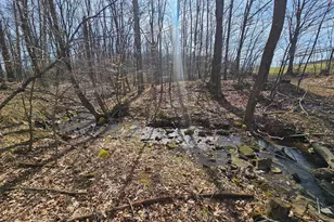 355 Lonesome Pine Rd, Oakland, MD 21550 - Photo 42