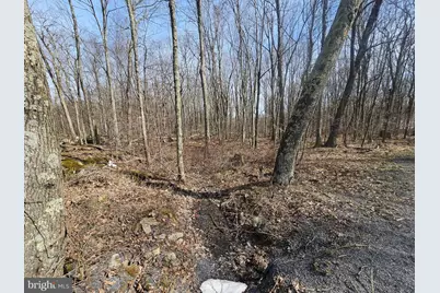 355 Lonesome Pine Road, Oakland, MD 21550 - Photo 38