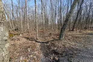 355 Lonesome Pine Rd, Oakland, MD 21550 - Photo 38