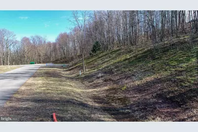 1 Sweet Rewards Farm Road, Mc Henry, MD 21541 - Photo 10