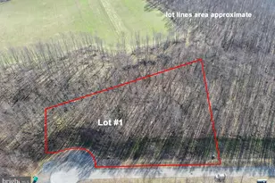 1 Sweet Rewards Farm Rd, Mc Henry, MD 21541 - Photo 1