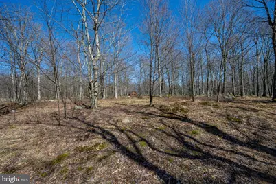 36 Fern Loop, Mc Henry, MD 21541 - Photo 14