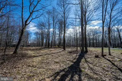 36 Fern Loop, Mc Henry, MD 21541 - Photo 12