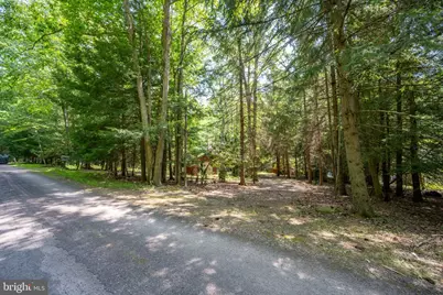 1461 Shoreline Drive, Swanton, MD 21561 - Photo 64