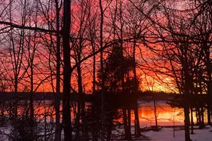 1461 Shoreline Dr, Swanton, MD 21561 - Photo 4