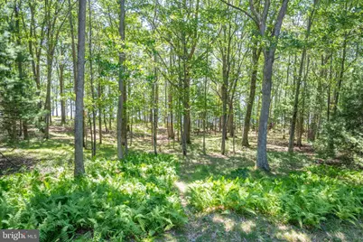 1461 Shoreline Drive, Swanton, MD 21561 - Photo 18