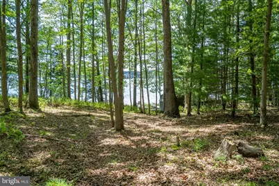 1461 Shoreline Drive, Swanton, MD 21561 - Photo 12