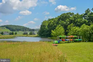 85 Clubhouse Dr, Swanton, MD 21561 - Photo 88