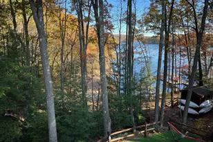 1544 Stockslager Rd, Oakland, MD 21550 - Photo 54