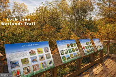 422 Maple Avenue, Oakland, MD 21550 - Photo 22