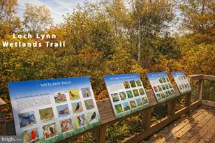 422 Maple Ave, Oakland, MD 21550 - Photo 22